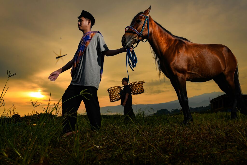 pexels joni parlindungan manurung 2152202692 33710399