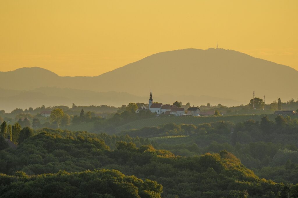 pexels nikola tomasic 58494762 33768586