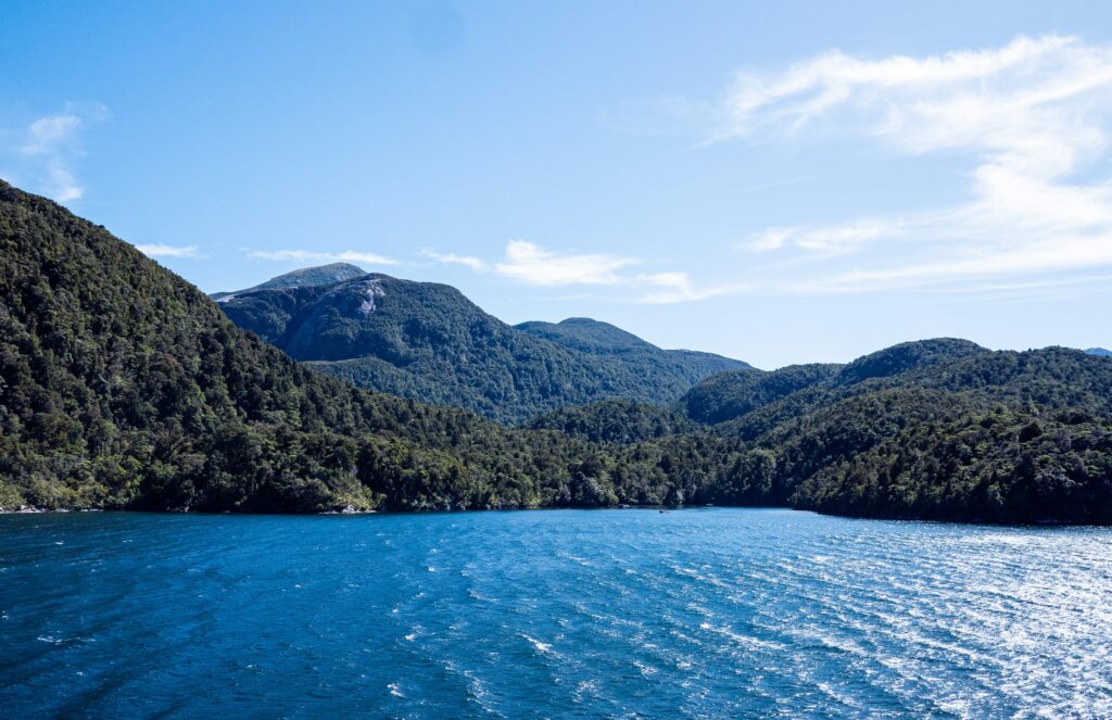 tonia kraakman 0fumpmz9i2w unsplash